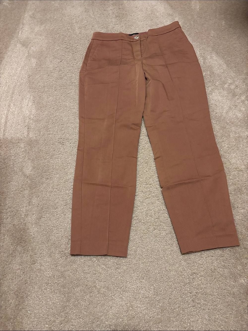 Express Women's Cropped Straight-Leg Pants in Rust